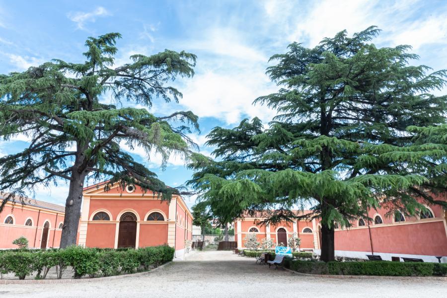 Cortile economia